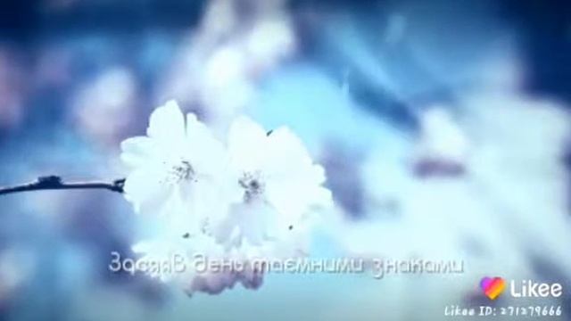 Сакура смотреть онлайн