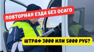 Штраф за повторную езду без ОСАГО: 3000 или 5000 рублей?