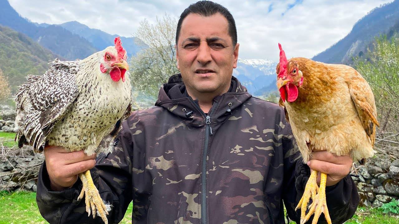 2 КУРИЦЫ ПРИГОТОВЛЕННЫЕ В САДЖЕ С ОВОЩАМИ!
