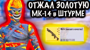 ОТЖАЛ ЗОЛОТУЮ МК-14 в ШТУРМЕ! | ВСТРЕТИЛ @VitalyPlays в Штурме | Metro PUBG Mobile