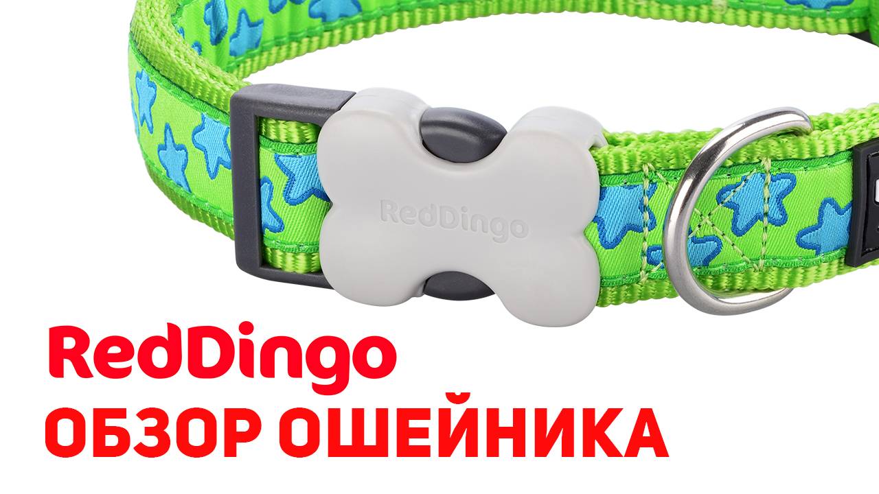 Ошейник Red Dingo – стиль, качество, надежность!
