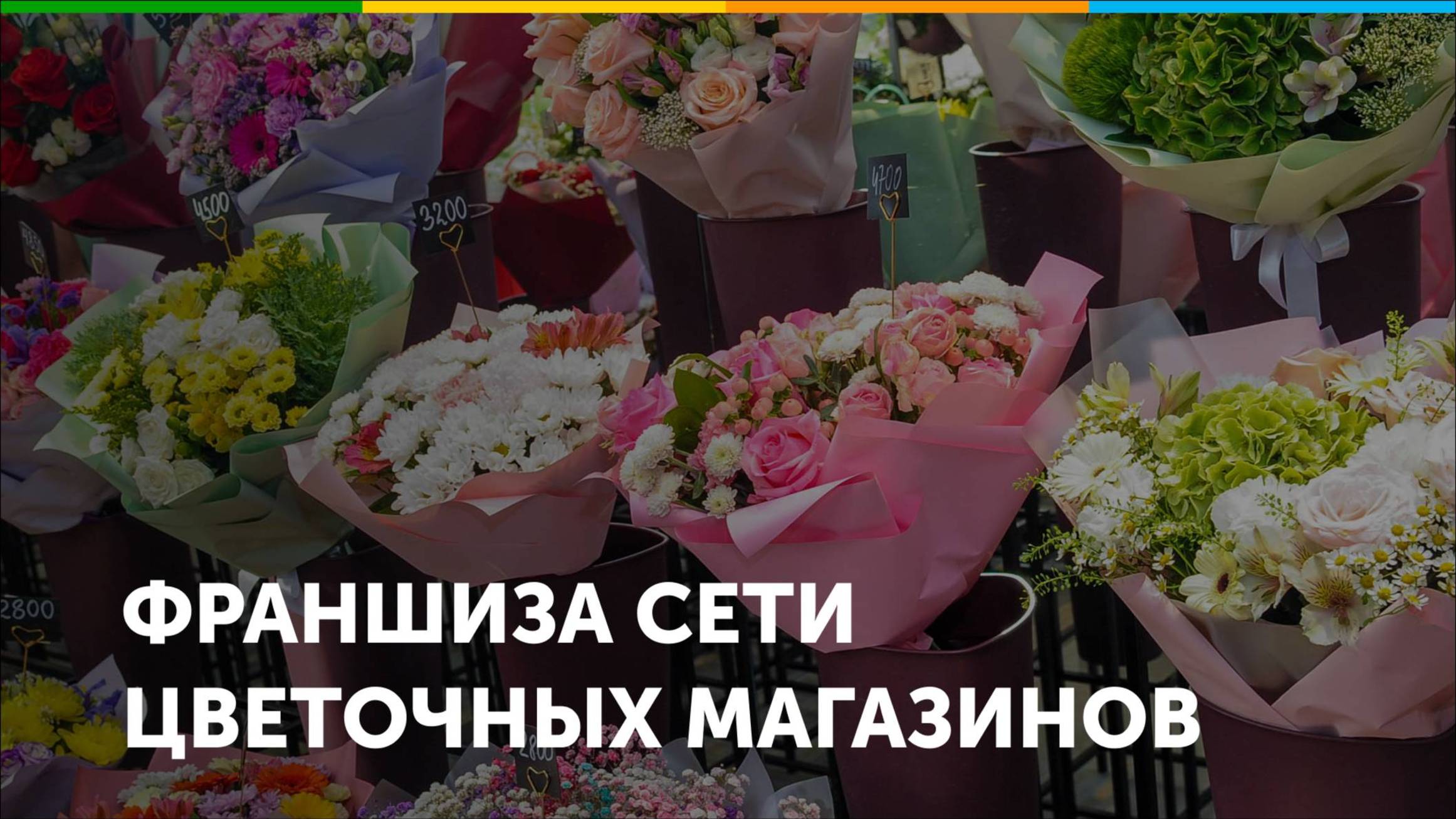 Франшиза сети цветочных магазинов Цветомания
