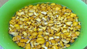 Лисички в сливках