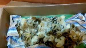 Ливенские ситцевые цыплята  Новый вывод