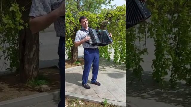 А кто то третий не сводит глаз. Народные песни. Песни под гармонь. Владимир Кузнецов.
