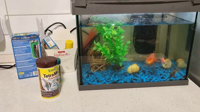 История про рыбок как мы украшаем аквариум 2 сезон 8 серия