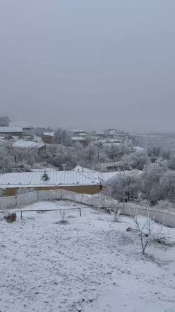 Дагестан в марте #дагестан #горы #кавказ #зимавгорах