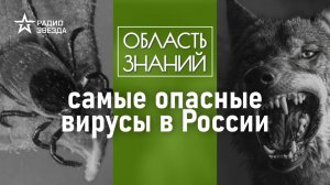 Клещевой энцефалит или бешенство – что опаснее? Лекция вирусолога Андрея Девяткина