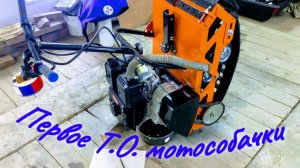 ПОСТАВИТЬ МОТОСОБАКУ на ДЫБЫ или КАК ПРОСТО и ЛЕГКО ПОМЕНЯТЬ МАСЛО в ДВИГАТЕЛЕ и РЕДУКТОРЕ.