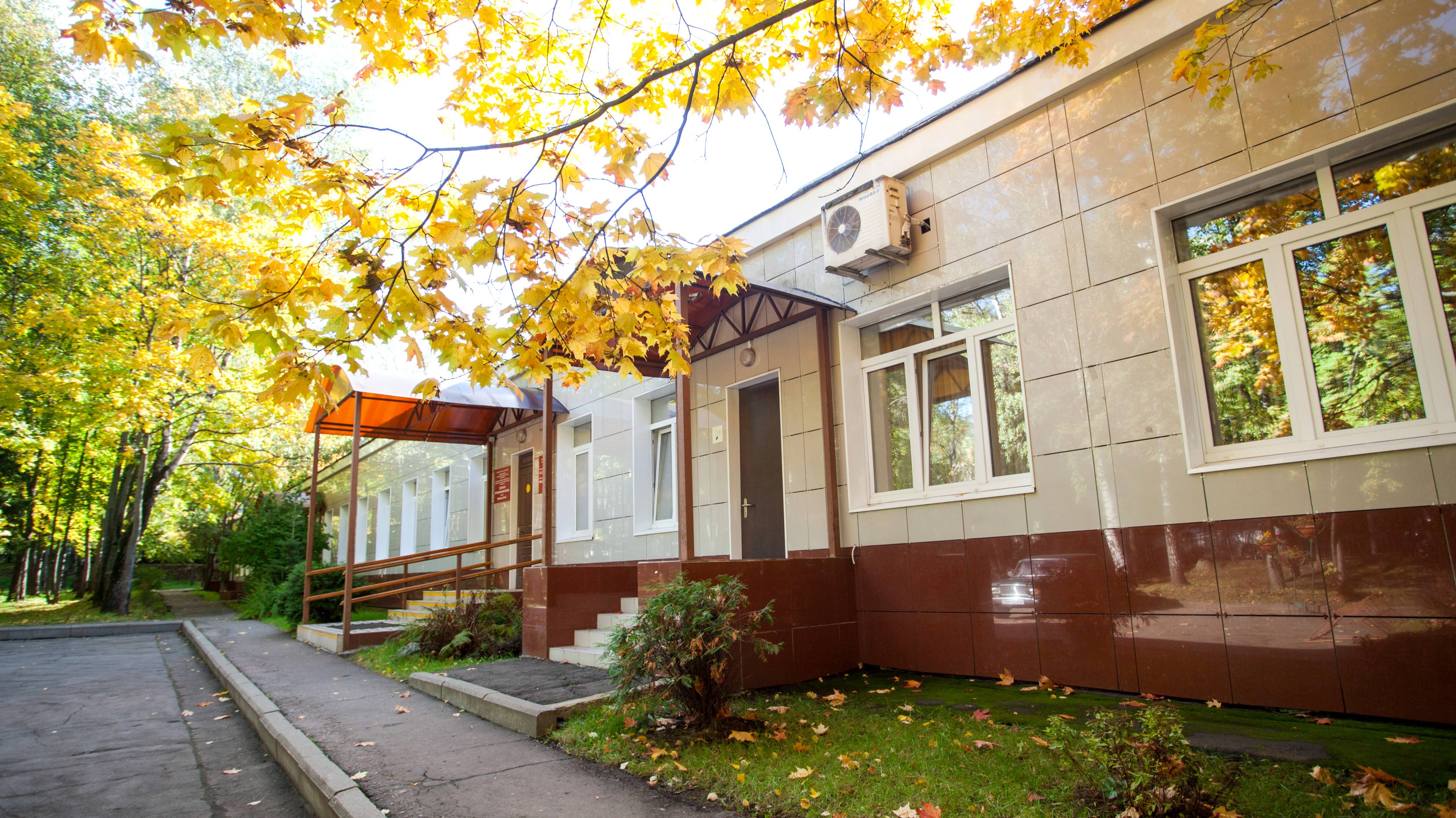 Презентация музыкальных инструментов и направлений сольного пения ДМШ им. Э. Грига смотреть онлайн