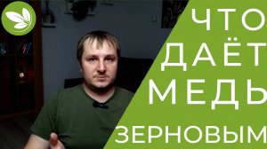 Зачем МЕДЬ Зерновым? Медь для Пшеницы, Ячменя и Овса.