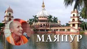 Маяпур 03.03.2025. Лекция ｜ Парикрамы ｜ БАКГ