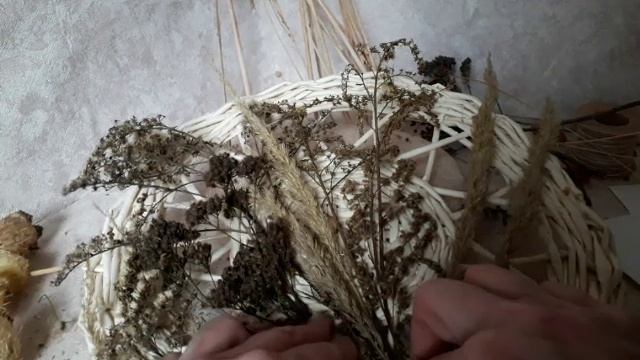 Панно из сухоцветов своими руками. Бесплатный декор интерьера.