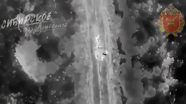 Поражение позиций 68-й оебр
Позиции ВСУ попали в прицел операторов БпЛА Алейской бригады Сибирского
