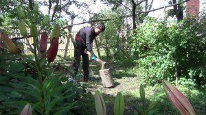 Алексей Максимов