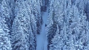 'Древлегорск' 'Оять' 'Радость' 'Зима'