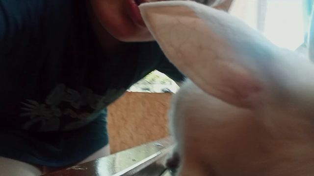 2 мая 2024 г. смотреть онлайн