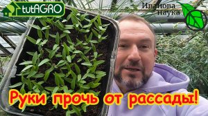 НЕ ПОГУБИТЕ РАССАДУ ПОСЛЕ ВСХОДОВ! 2 частые ошибки даже опытных огородников. Первая подкормка.