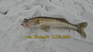 оз.Вселуг 1.03.25г