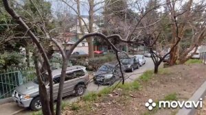 ЯЛТА НЕоткрыточная