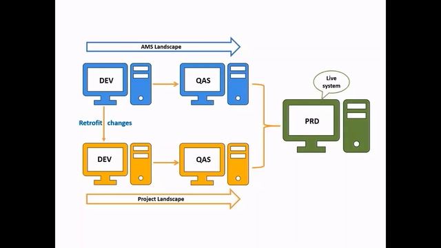Retrofit MASS SAP SU24 entries - Export and Import Procedure смотреть онлайн
