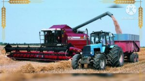 21 Пивнева А.И.