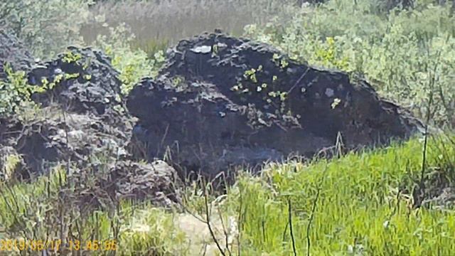 Девять карасей и семь плотвин или Канадский пруд. смотреть онлайн