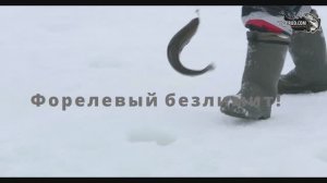 Как ловить форель зимой 10.03.23