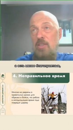 Страхи при обрезке деревьев. Часть 4