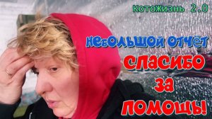 Небольшой отчет. Спасибо за помощь!