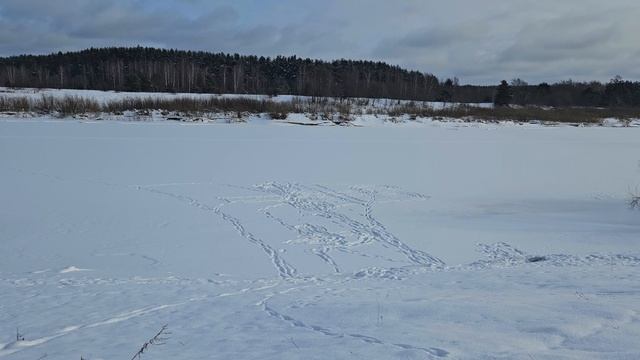 Берег реки Молога