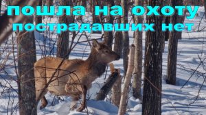 #Рыбоход и Ямаха... я помчала на охоту