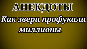 АНЕКДОТЫ! Как звери профукали миллионы!