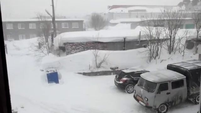 "Снежные_крысы" конец апреля 2017 г. - 2 смотреть онлайн