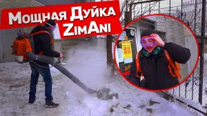 Замена Stihl и Husqvarna или нет? Воздуходувка ZimAni