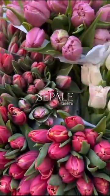 Цветы в Сочи. Оформить заказ:⬇️ • WhatsApp / Telegram +7 938 441-87-77 🌍 Сайт: https://sepale.ru