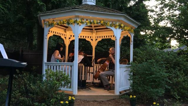 Brahms Hungarian Dance #5: trio for violin, cello, and bass - Synergismus смотреть онлайн