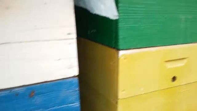 Зимовка пчёл на улице февраль. смотреть онлайн