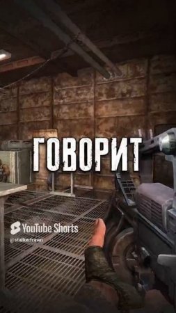 Что если спалить Корягу за воровством тайника в Сталкер Зов Припяти #Shorts