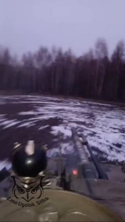 Братья работают по лесопосадке