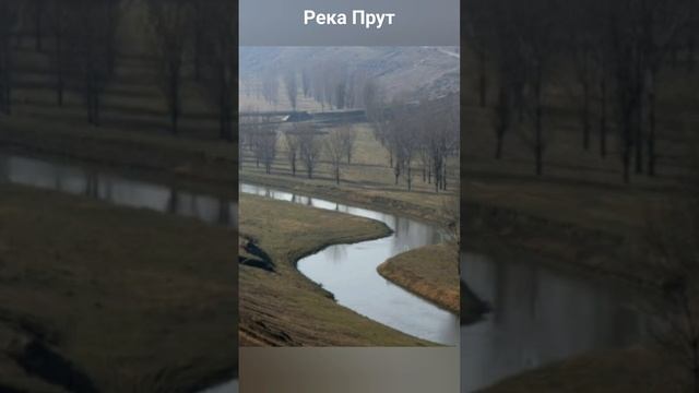 #андрейординарцев #рекимолдовы#природародногокрая  Река Прут