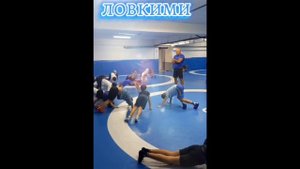 О проекте грантового конкурса губернатора Кубани "Скиф-вектор победы"