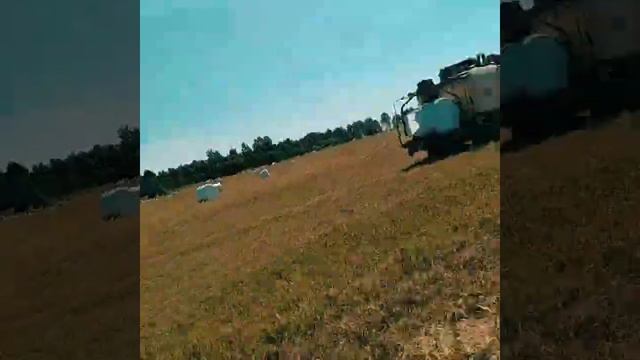 #сезон_2020 уборка полей смотреть онлайн