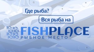 Как работать в разделе "Склады"?