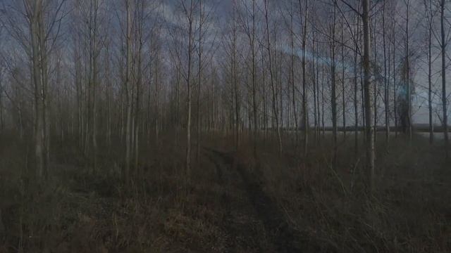 Ночной Лес... Мистические Истории !!! смотреть онлайн