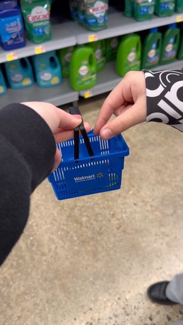 What should I shop for next? #minishopping #laundryday #miniatures смотреть онлайн