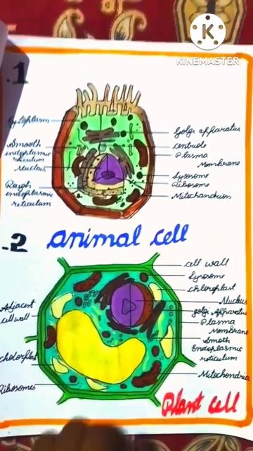 cells project смотреть онлайн