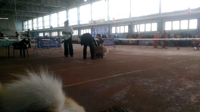 WP 20160228 011 смотреть онлайн