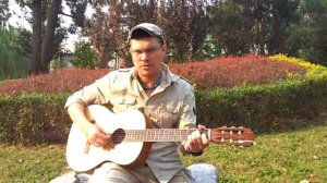 Павел Дольский - Нина