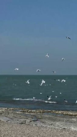 Наслаждение морской природой 🌊🌊🌊